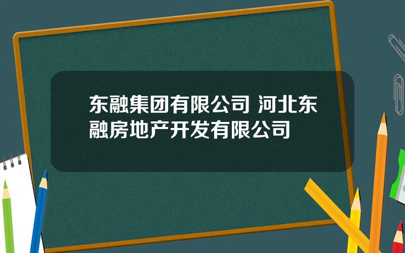 东融集团有限公司 河北东融房地产开发有限公司